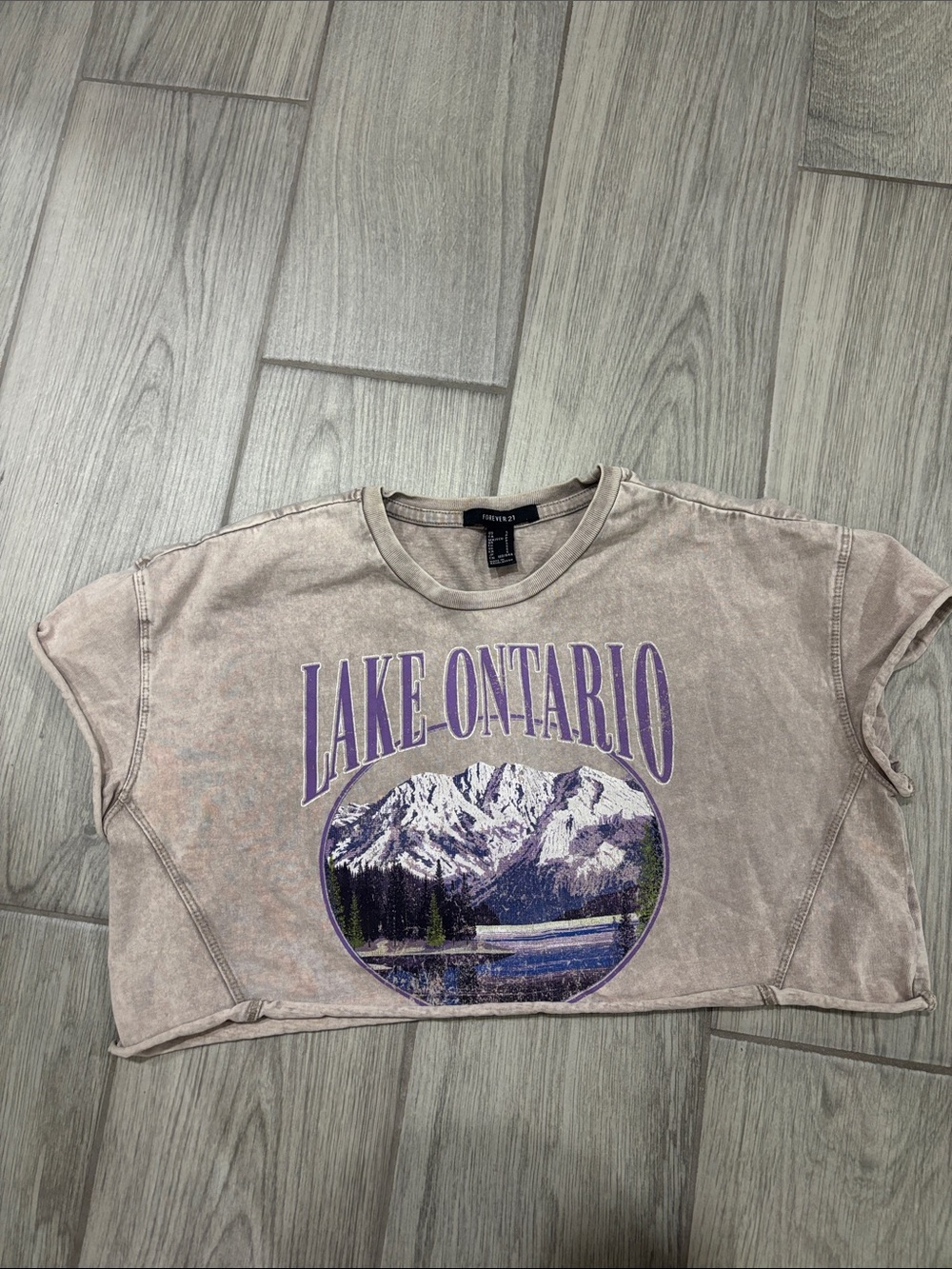 Forever 21 Beige Graphic Lake Ontario Crop Top with Purple Print